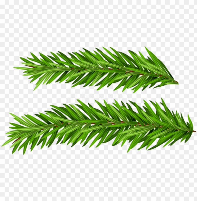 Free Png Pine Branches Set Png Images Transparent Christmas Tree PNG Image With Transparent Background