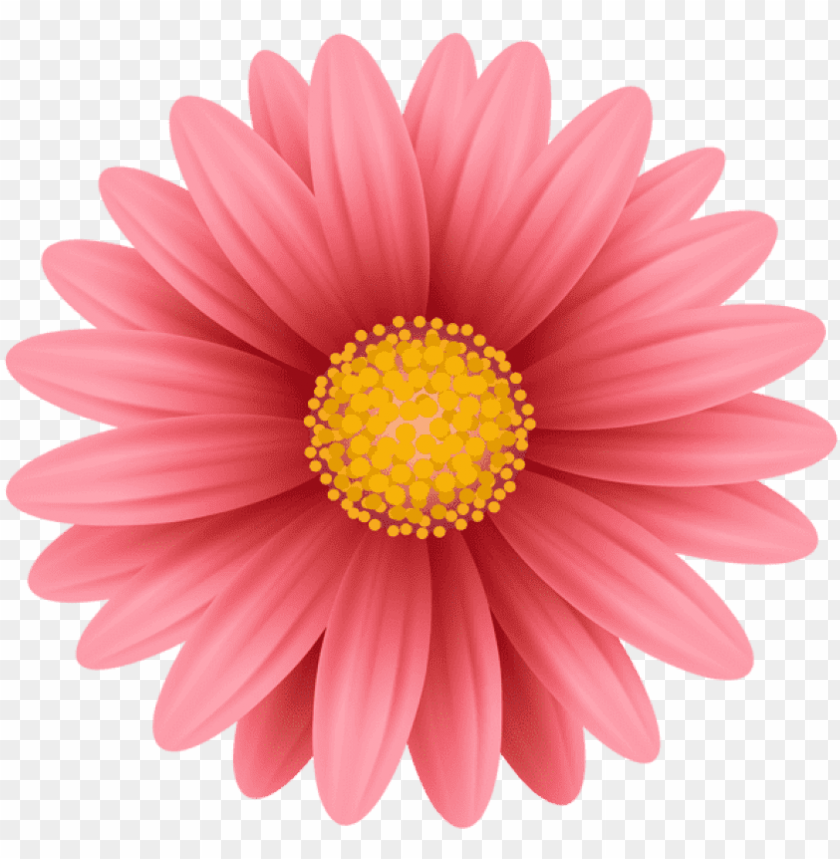 free png red flower png png images transparent clear background sunflower clipart PNG transparent with Clear Background ID 211544