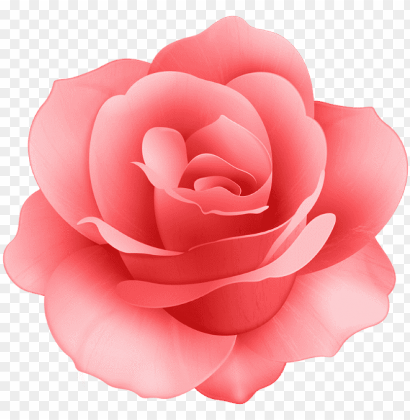 Free Png Red Rose Flower Png Images Transparent Pink Rose Flower Clip Art PNG Image With Transparent Background@toppng.com