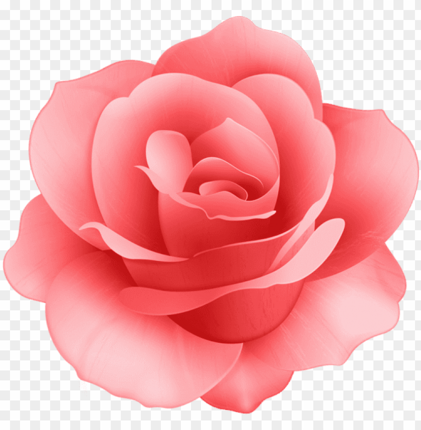 free png red rose flower png images transparent pink rose flower clip art PNG transparent with Clear Background ID 170224