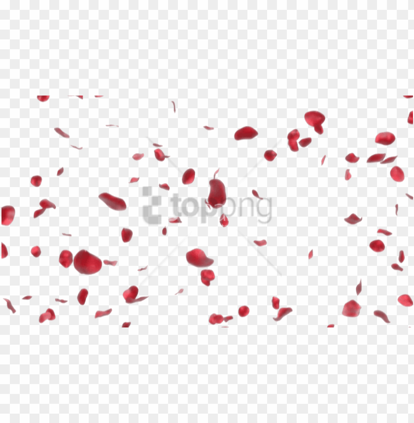 Free Rose Petals Image With - Rose Petals PNG Transparent Background