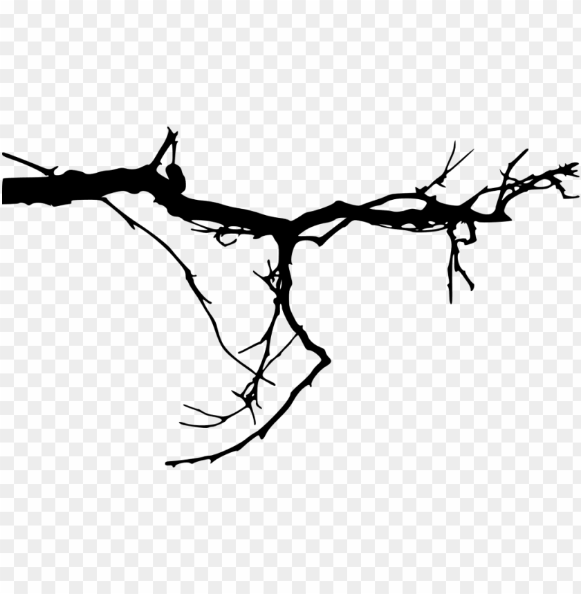 free png simple tree branch png images transparent tree branches transparent background PNG transparent with Clear Background ID 205966