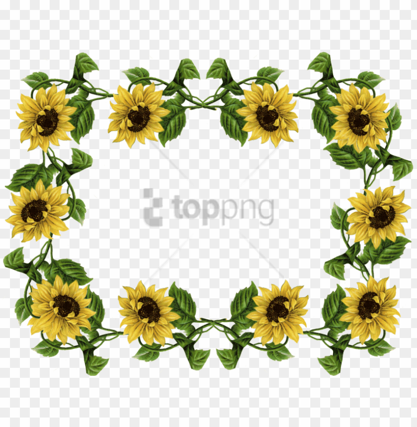 sunflower roblox gfx