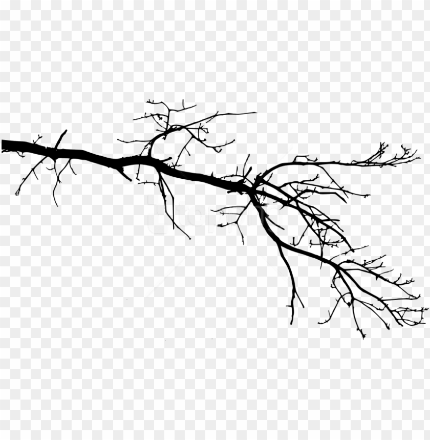 Free Png Tree Branch Png Tree Branch Drawing Png Image With Transparent Background Toppng