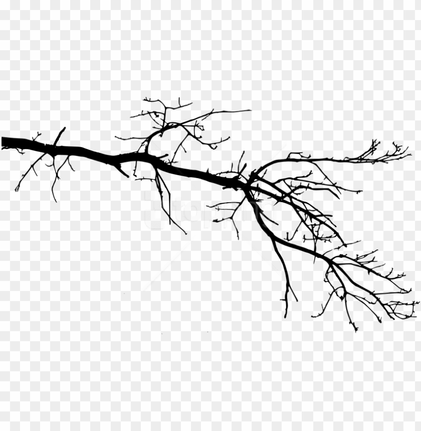 free png tree branch png tree branch drawing PNG transparent with Clear Background ID 318737