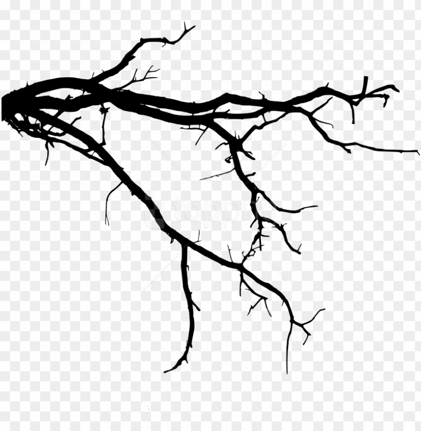 symbol, illustration, branches, isolated, leaf, background, collection