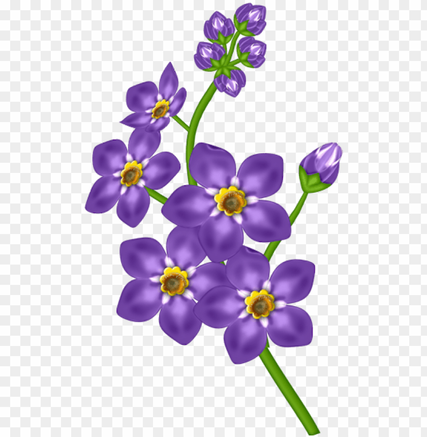free purple orchid- mother's day wishes from son, mother day