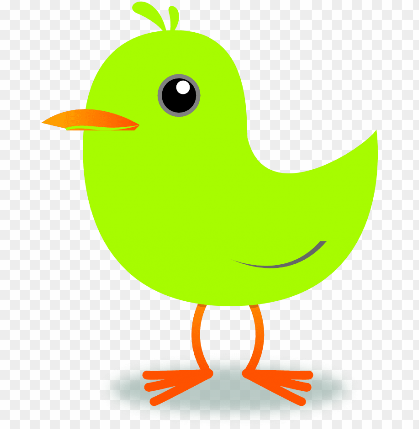 Free Spring Bird PNG Image With Transparent Background