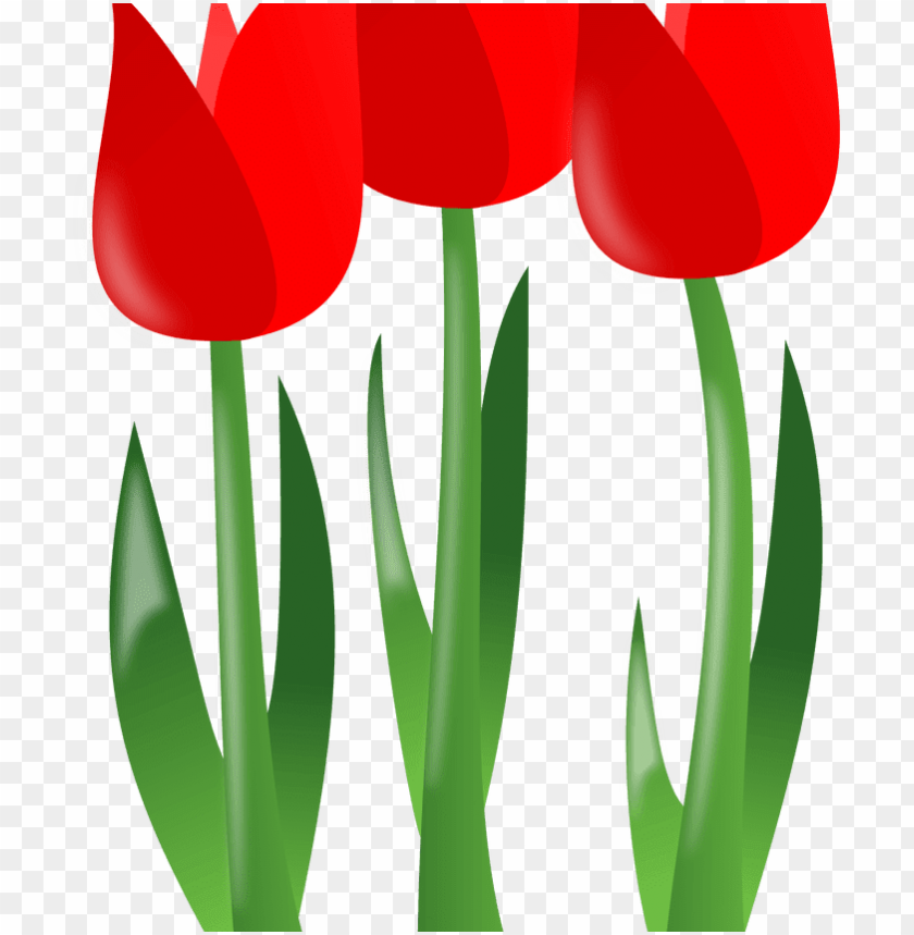 free spring flowerfreebest free mothers day flowers PNG transparent with Clear Background ID 103485