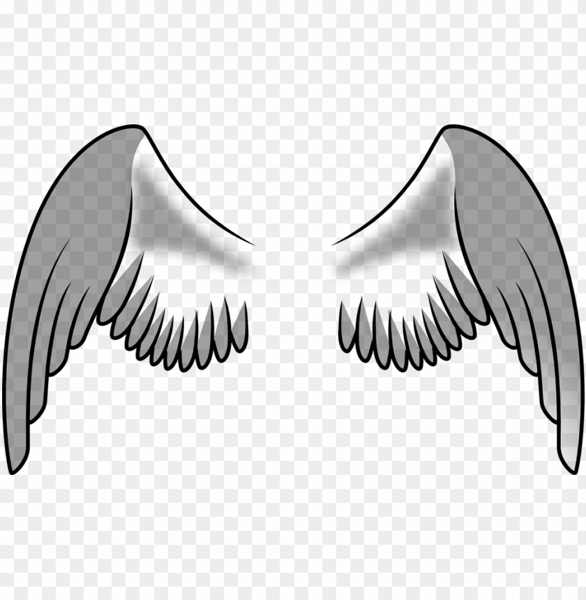 free vector angel wings collection alas de una ave PNG transparent with Clear Background ID 280209