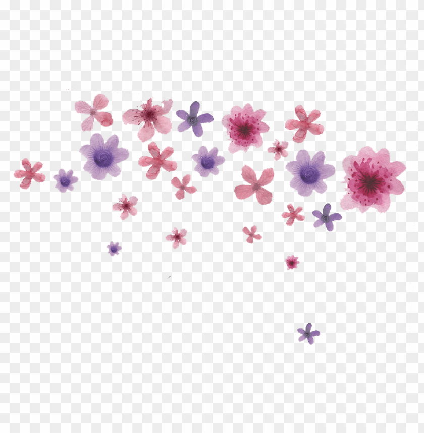 symbol, map, petal, outline, isolated, greeting, beautiful