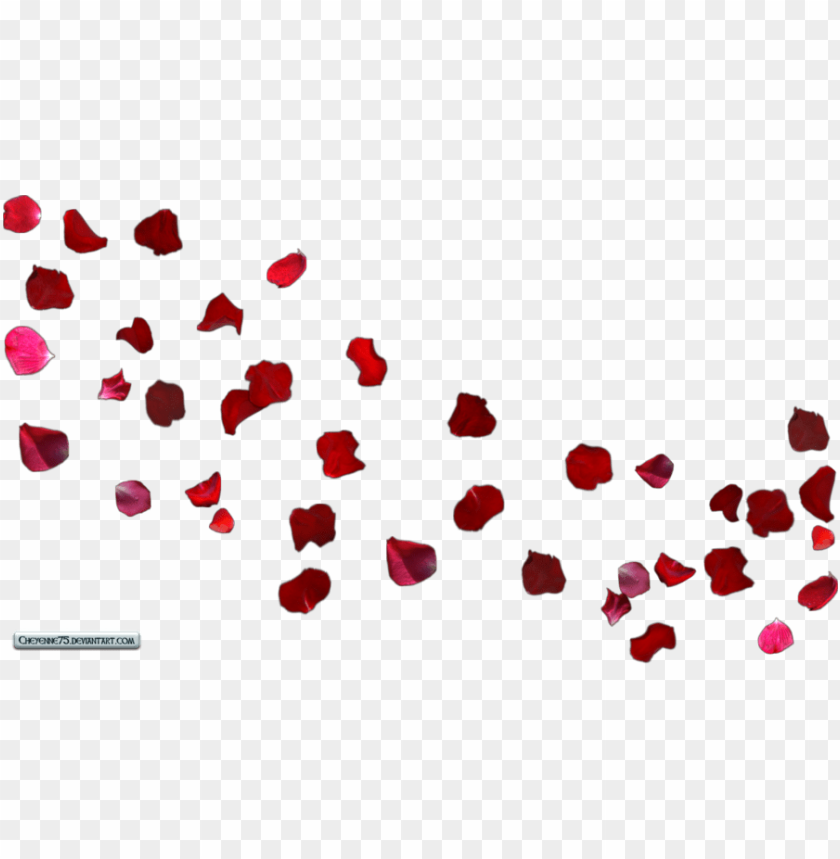 Free Wedding Falling Rose Petals Animation Background Flower Petals In The Wind PNG Image With Transparent Background