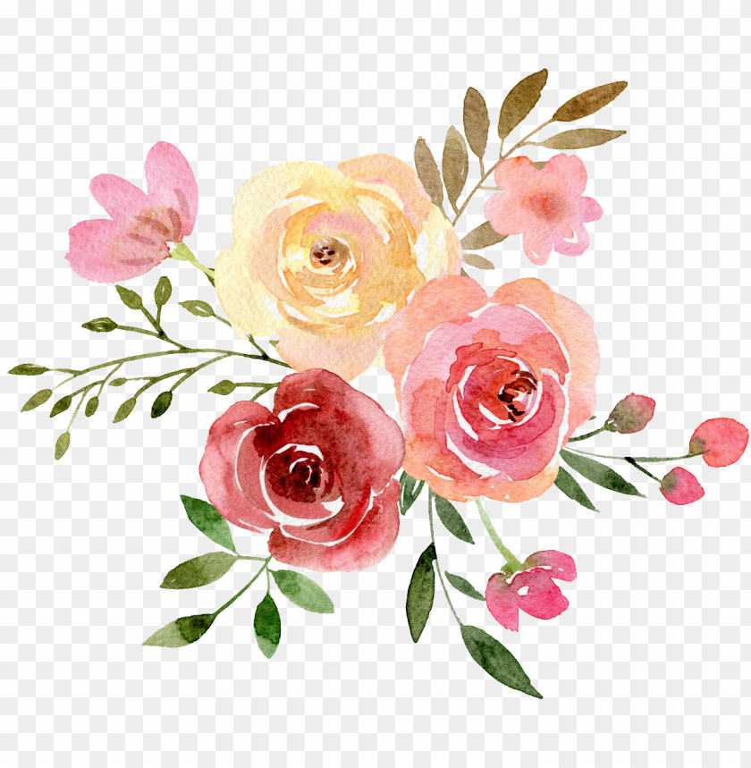 watercolor flower, symbol, roses, ink, decorative, illustration, plants