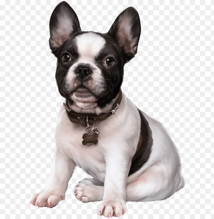 French Bulldog Puppy Images Clip Art Cute Dogs - 3d Tubes Do PNG Transparent Background