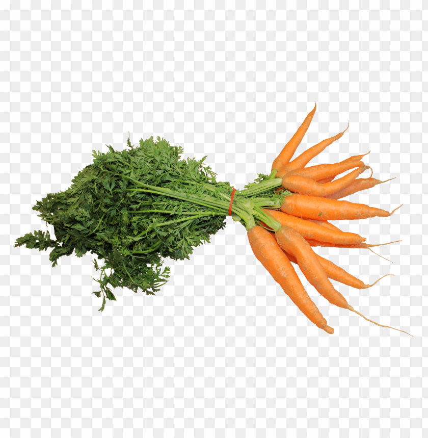 
vegetables
, 
carrot
