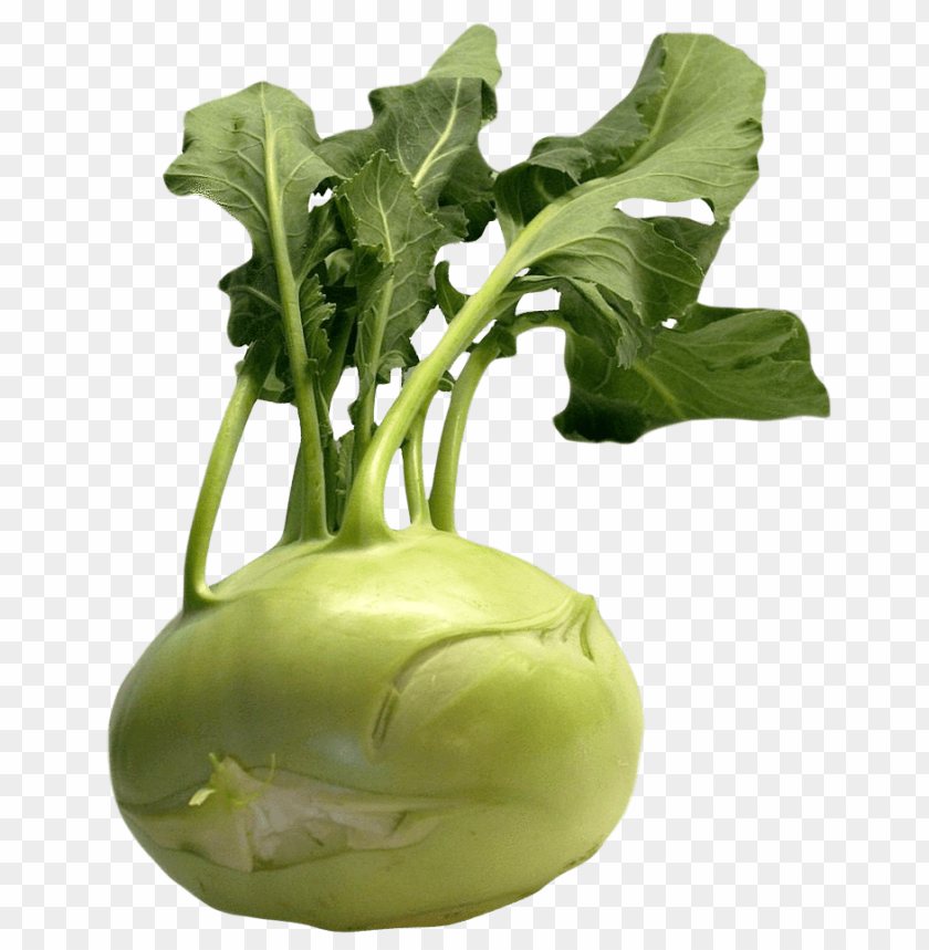 
vegetables
, 
cabbage
, 
kohlrabi
, 
german turnip
