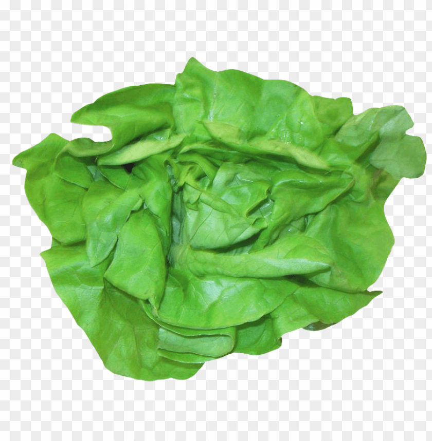 
vegetables
, 
salad
, 
lettuce
, 
spinach
, 
leaves
, 
leafs
