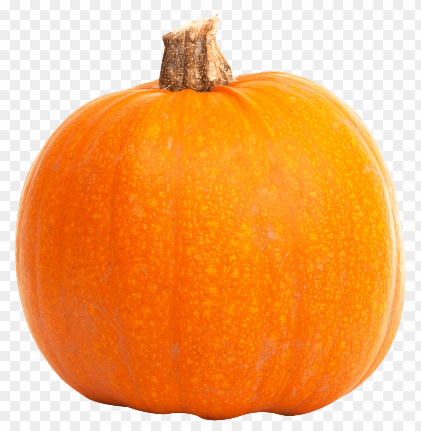 
pumpkin
, 
vegetables
, 
halloween
, 
squash
