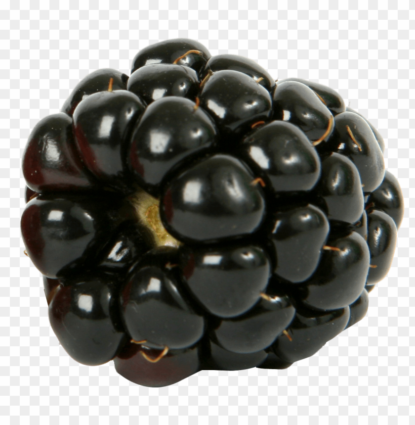 fruits, berry, berries, blackberries, blackberry