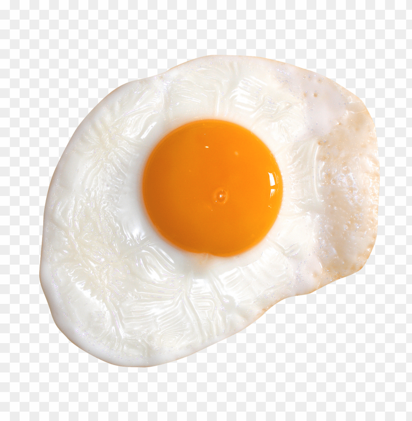 Download Fried Egg Png Images Background Toppng - yolk egg roblox