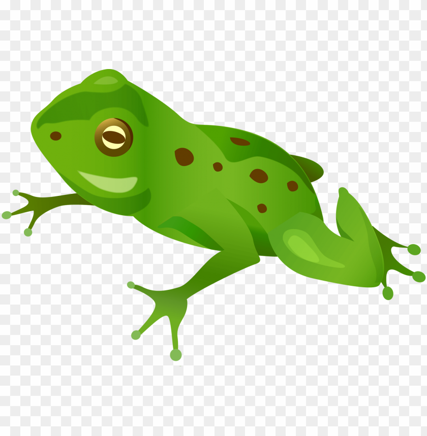 Frog Png Images Background - Image ID 2301 | TOPpng