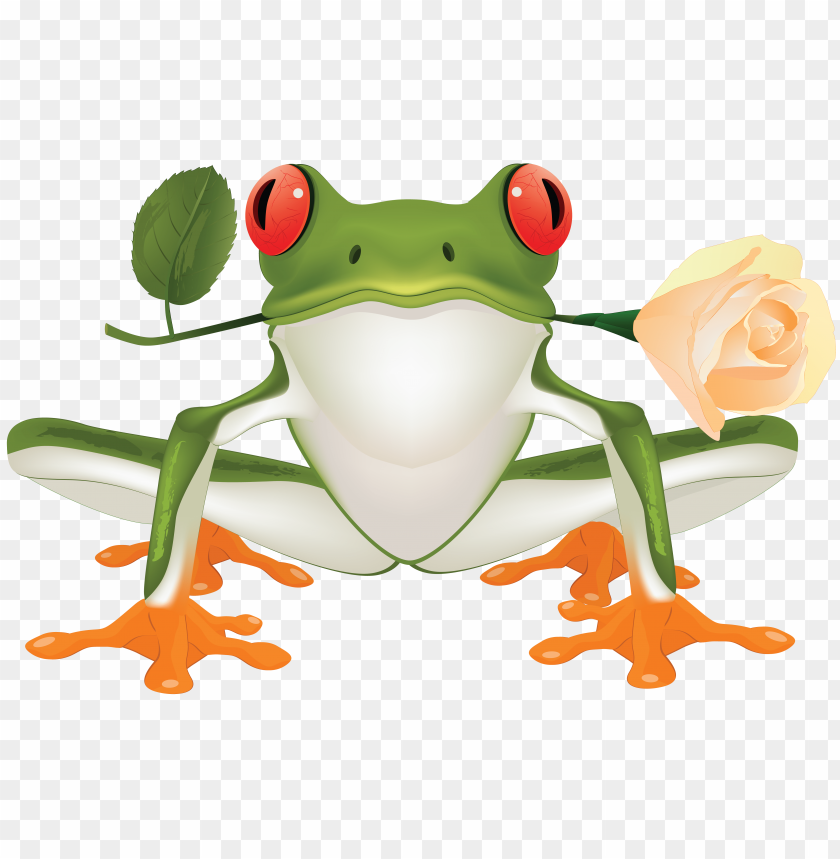 frog png images background - Image ID 2351