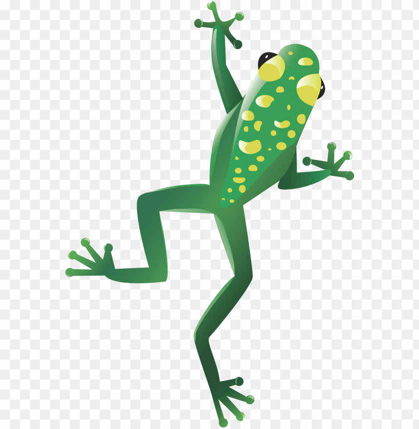 frog png images background - Image ID 2359
