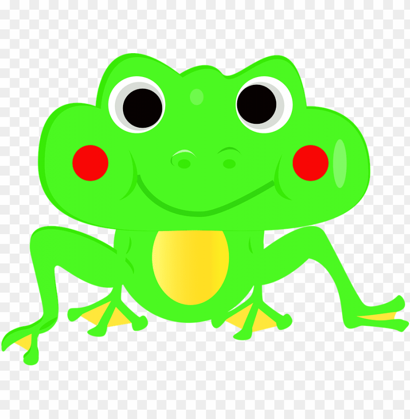 frog, vector, cartoon - ribbit fro PNG image with transparent background |  TOPpng