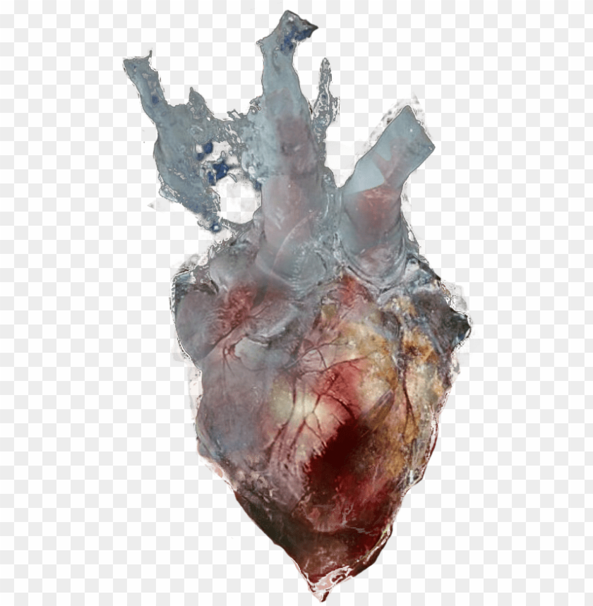 black heart, heart doodle, heart filter, frozen elsa, gold heart, heart rate