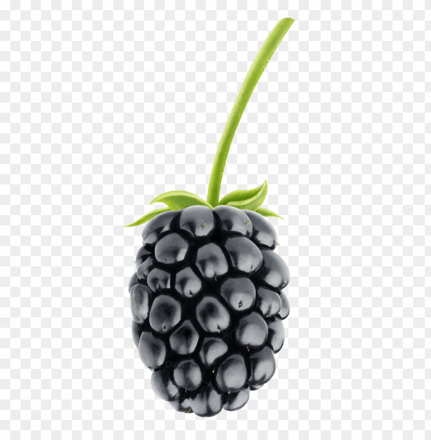 Fruit PNG Transparent Background