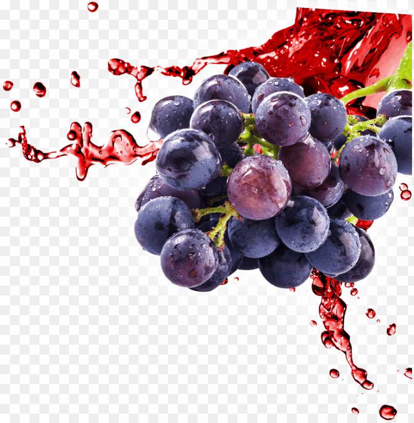 Fruit Splash Png Download Grape Juice Splash Png Image With Transparent Background Toppng - grape juice roblox download