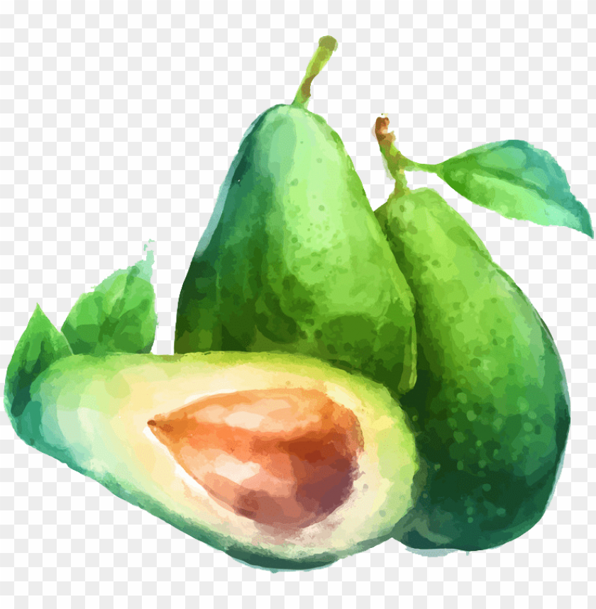 Watercolor Painting Fruit Drawing Illustration - Fruits Drawing Water Colour  - Free Transparent PNG Download - PNGkey