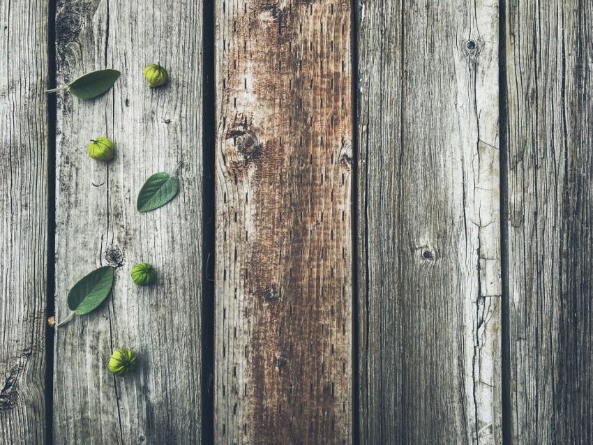 fruits, leaves, boards, tree, wooden