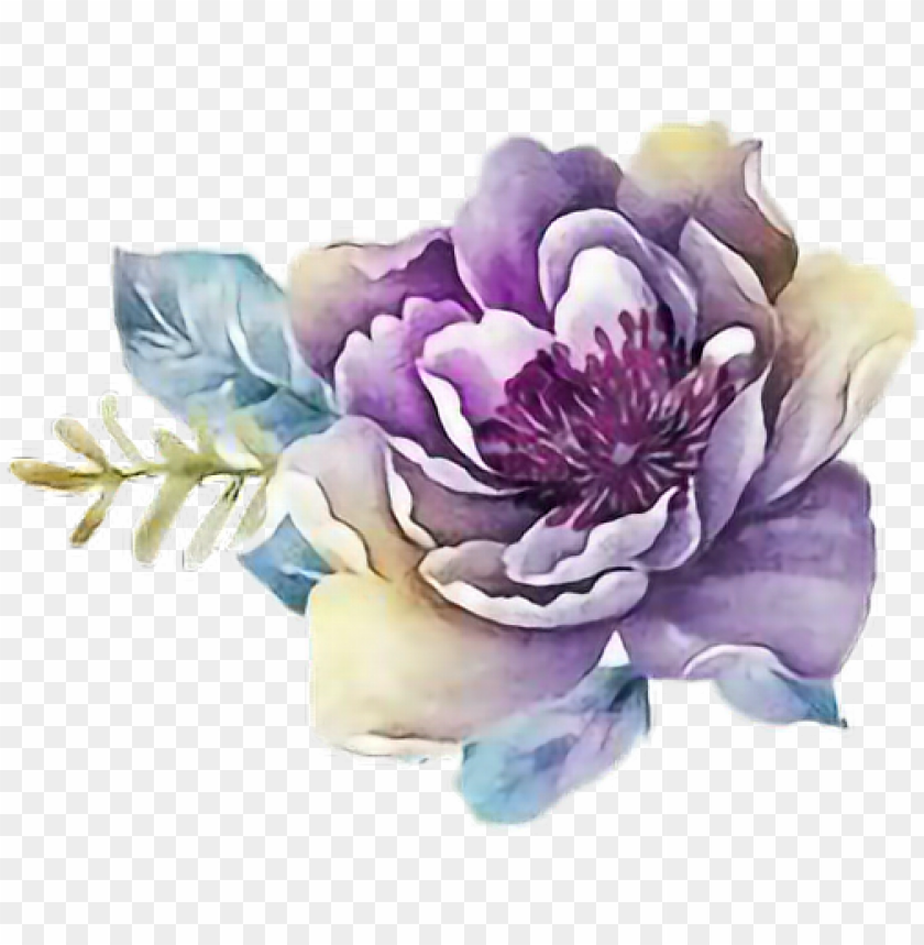 Ftestickers Art Watercolor Flower Rose Purple - Purple Flower Watercolor PNG Transparent Background