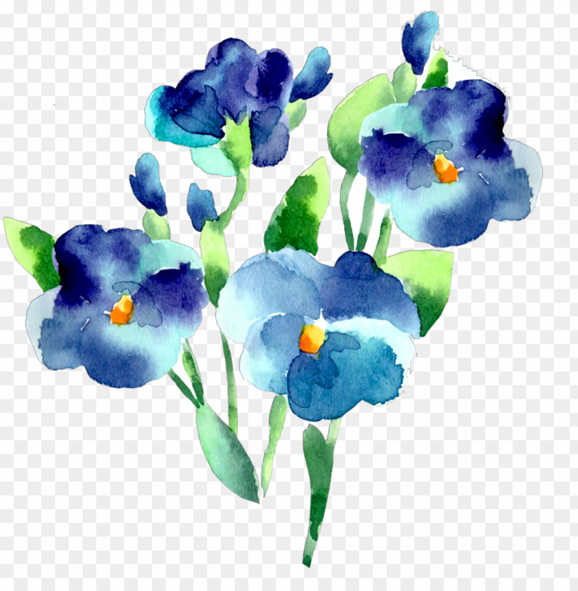 watercolor flower, banner, tree, logo, pattern, vector design, flower frame