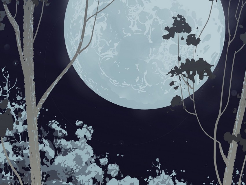 full moon, forest, vector, night
