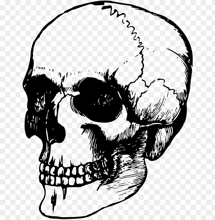 EASY How to Draw SKULL - Side View - YouTube