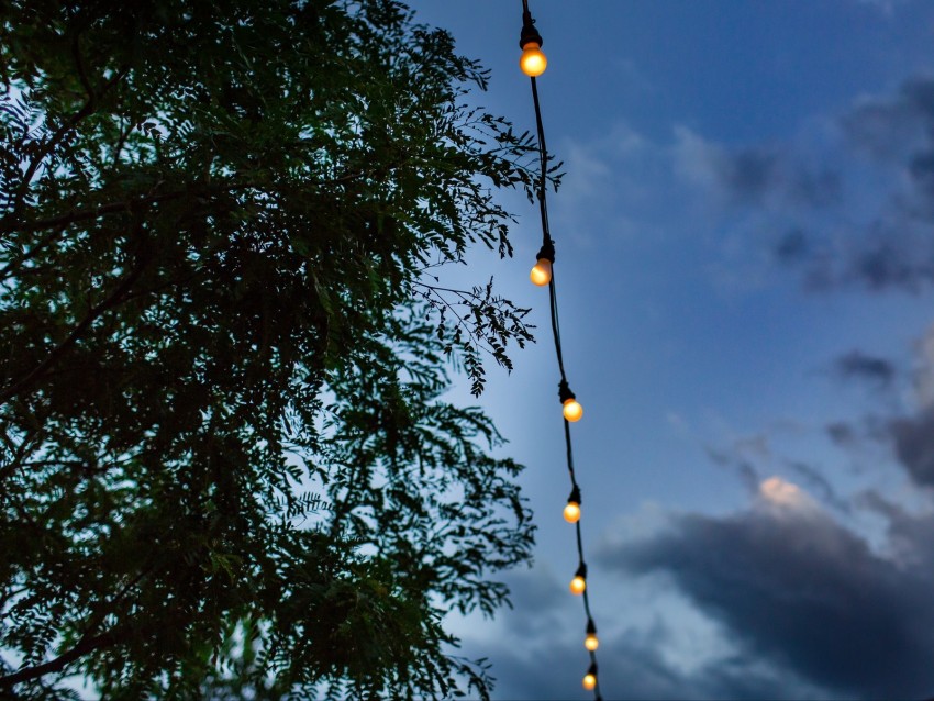 garland, light bulbs, wire, electric, branches, sky