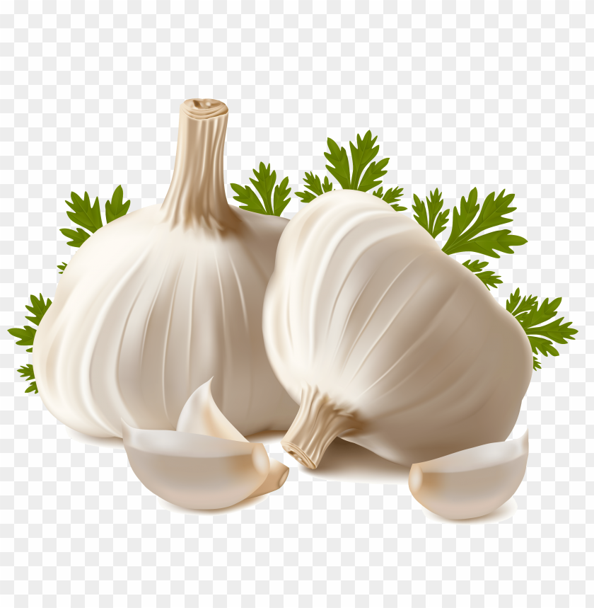  vegetables, garlic, onion, garlic cloves,خضار , ثوم, بصل