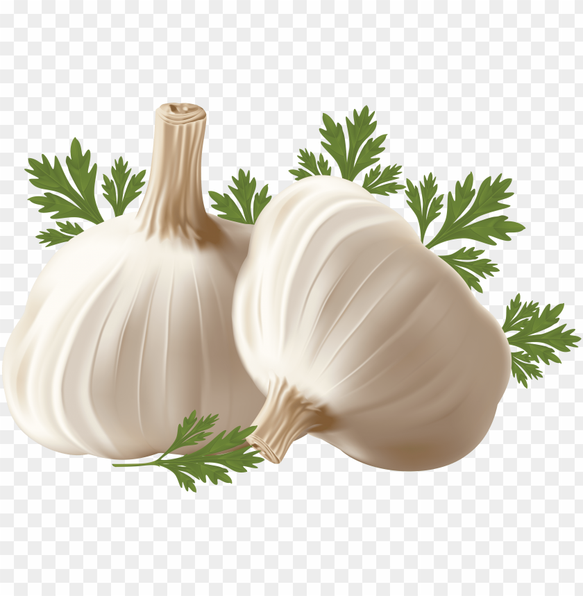 
garlic
, 
white garlic
, 
recepie
