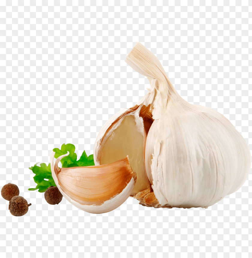 garlic png, png,garlic
