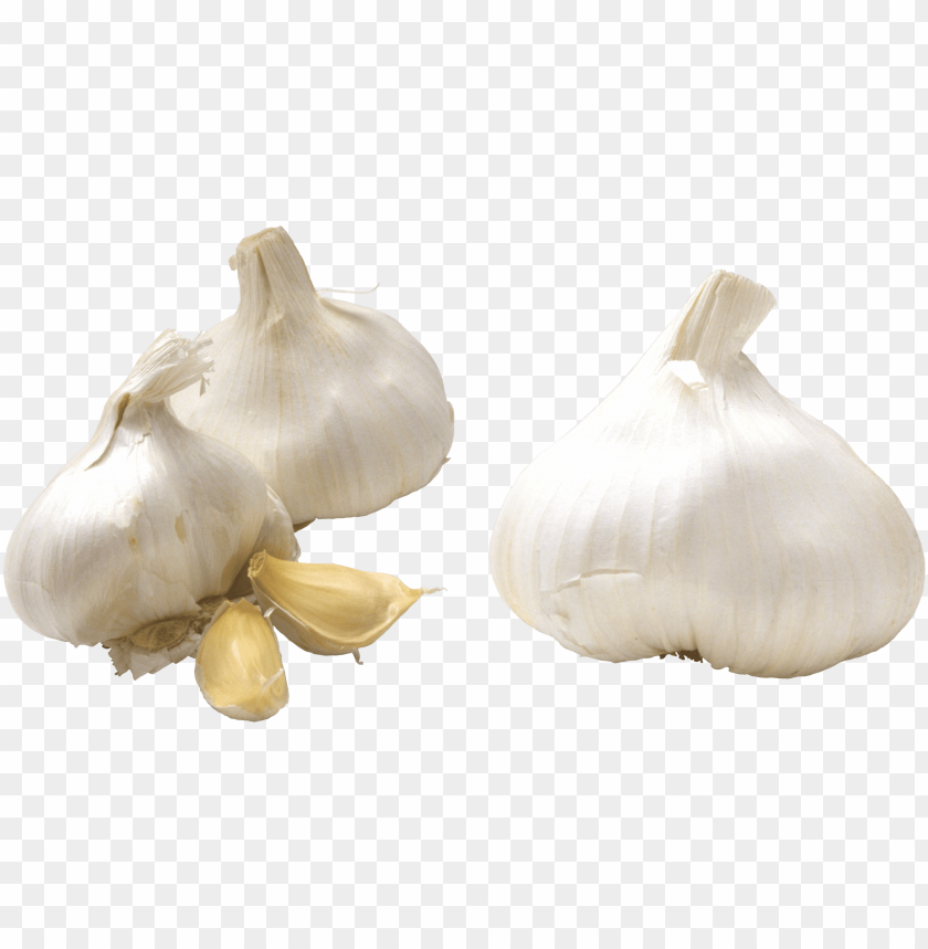 garlic png, png,garlic