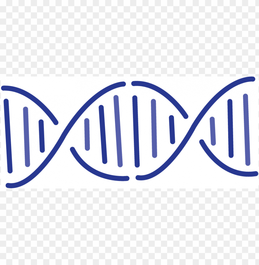 gene PNG transparent with Clear Background ID 97835