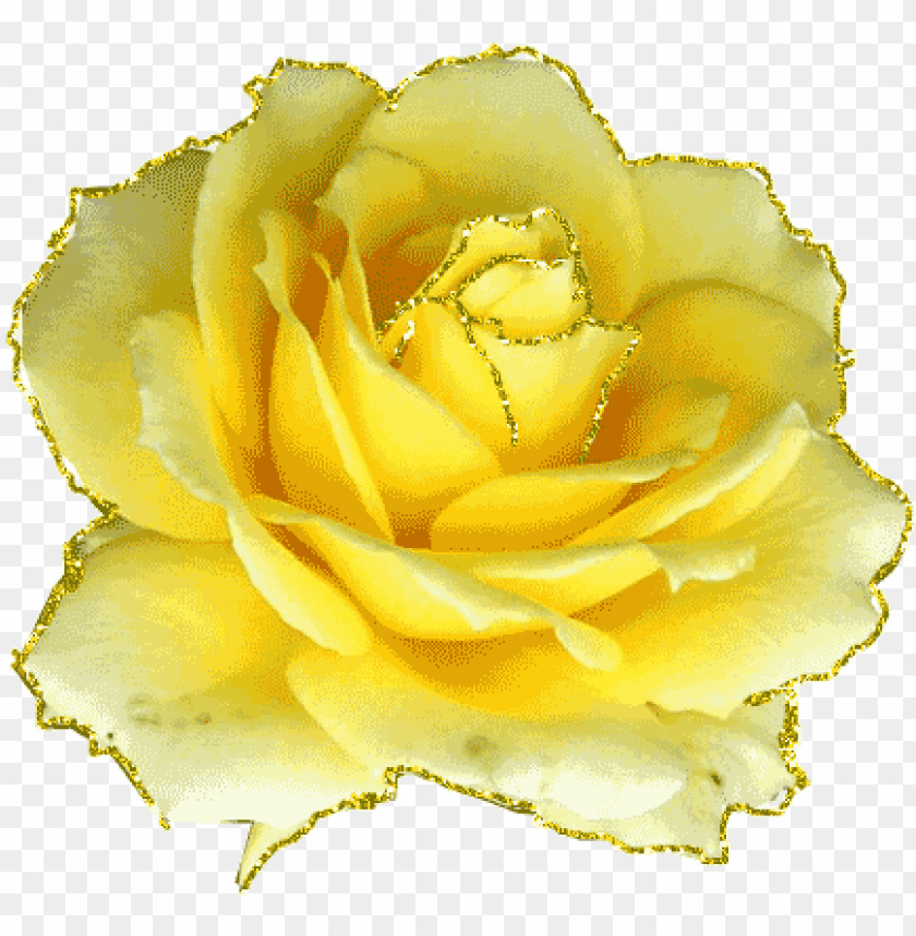 gifs et tubes fleurs - happy mothers day yellow roses, mother day