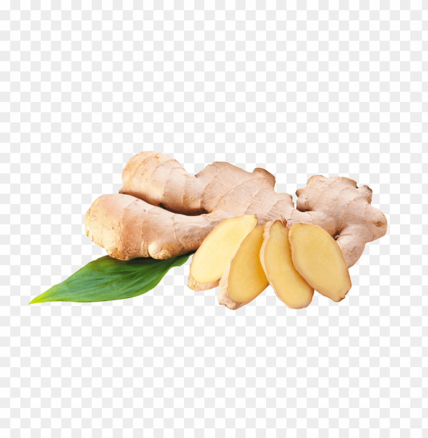 ginger PNG images with transparent backgrounds - Image ID 6249