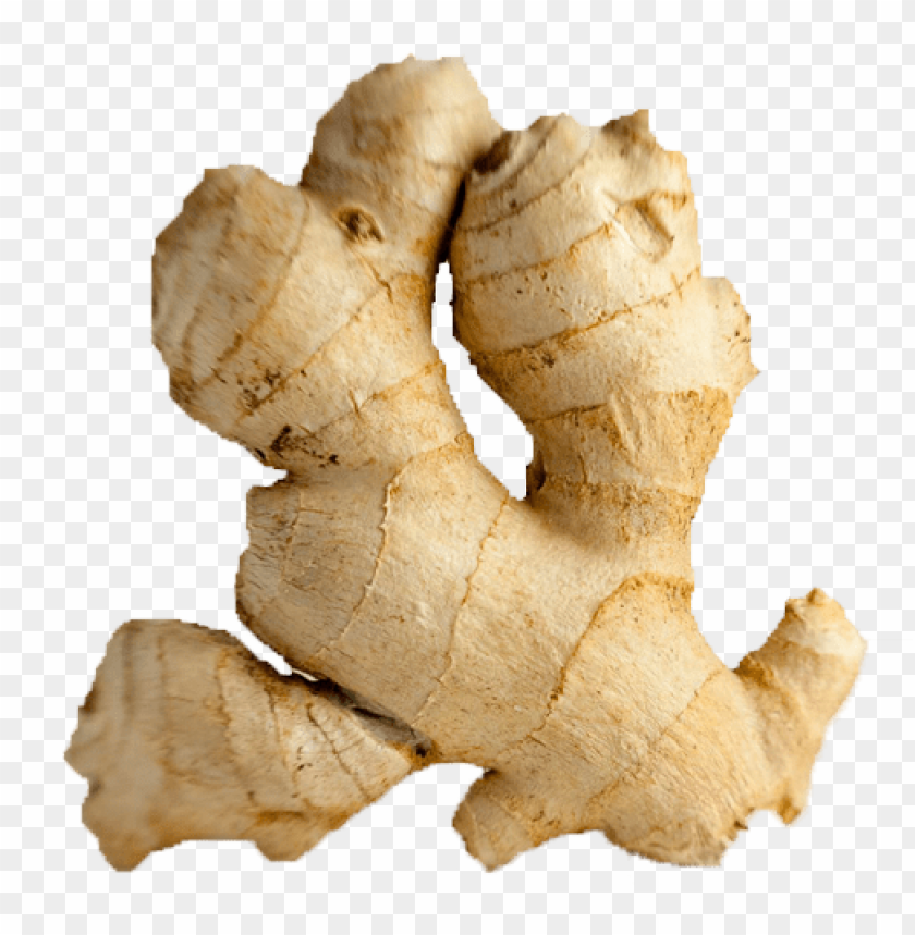 ginger PNG images with transparent backgrounds - Image ID 6250