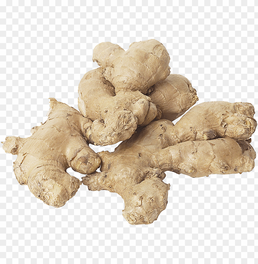 ginger PNG images with transparent backgrounds - Image ID 11232