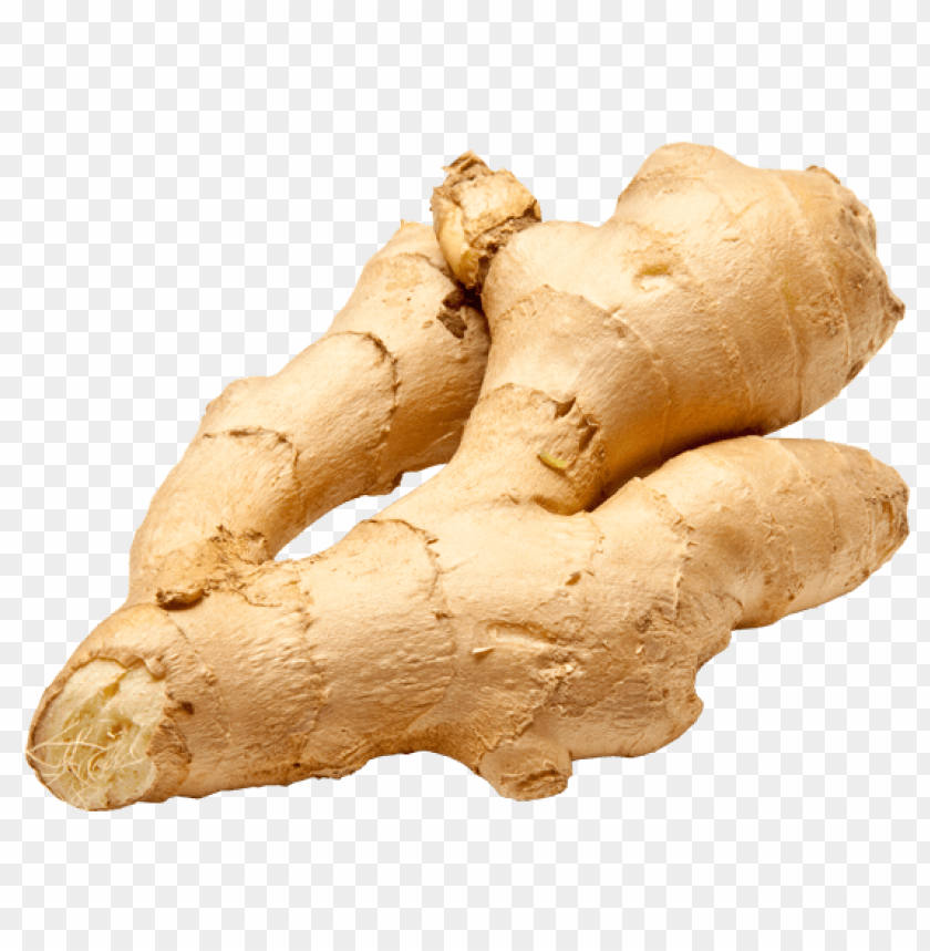 ginger PNG images with transparent backgrounds - Image ID 11235