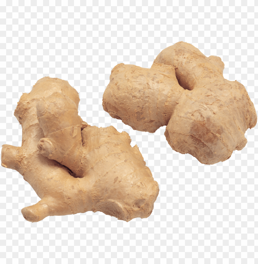 ginger PNG images with transparent backgrounds - Image ID 11238