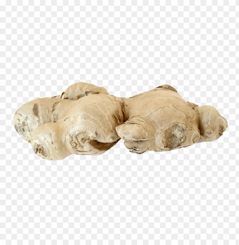 ginger PNG images with transparent backgrounds - Image ID 11243